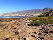 Fósiles en el Sur de Tenerife