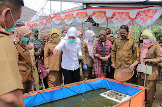 Wakil Walikota Palembang, Fitrianti agustinda Apresiasi Poktan di Talang Jambe 