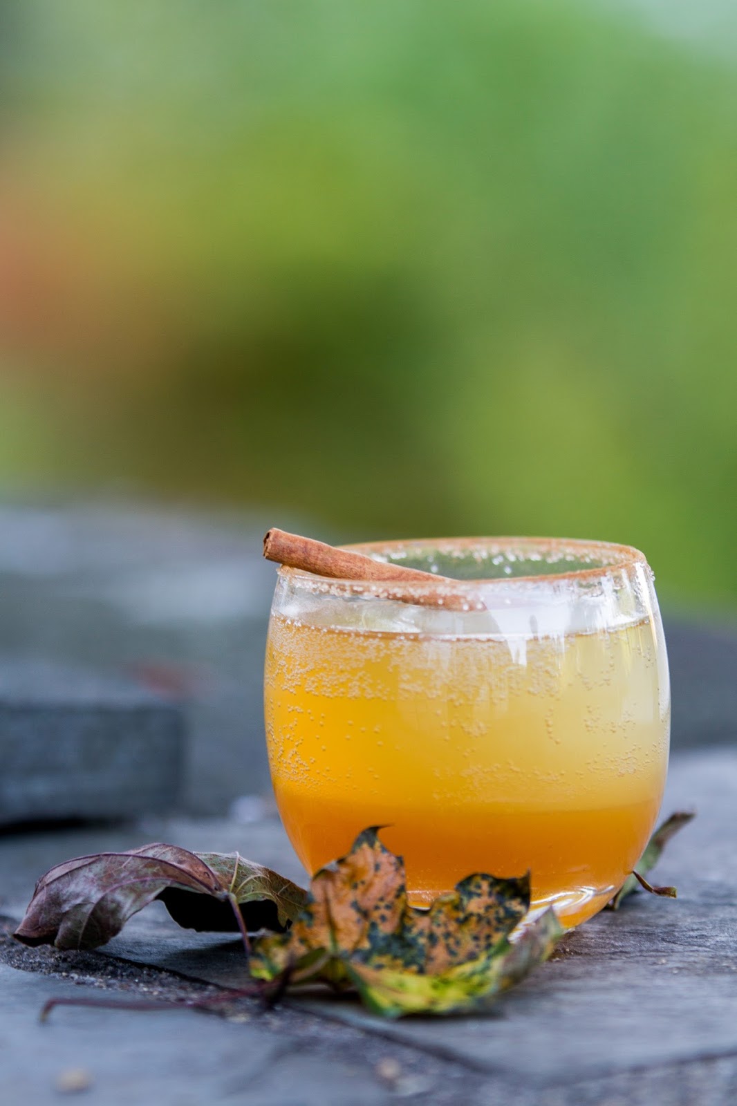 Apple Cider Bourbon Spritzer » Local Food Rocks