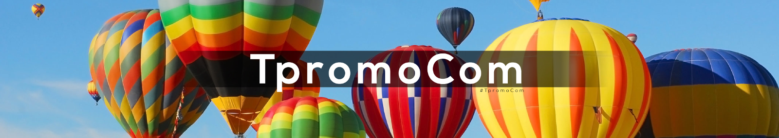 TpromoCom, Web Designer with Hosting, Content and Social Media Services