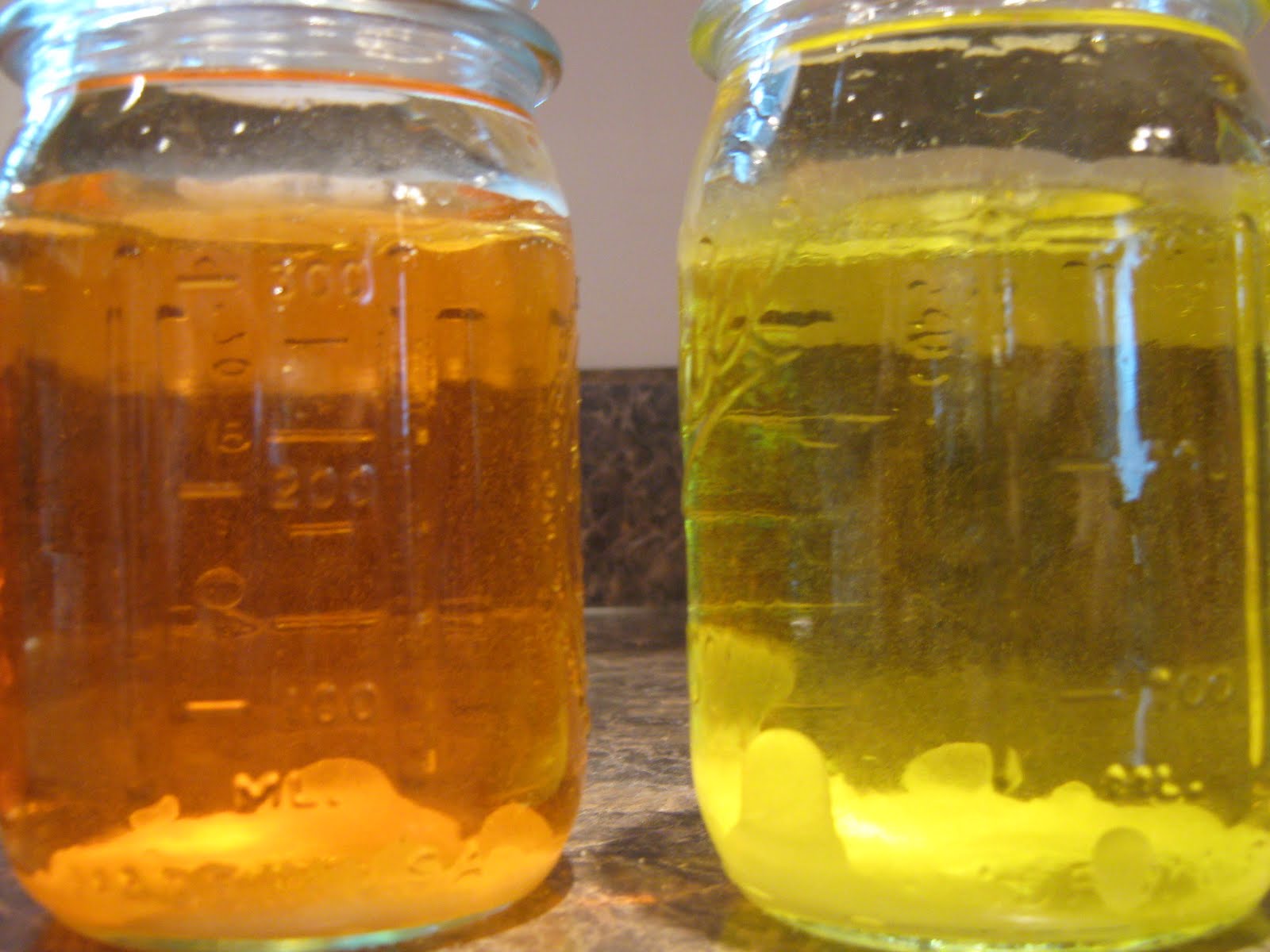 Almost Unschoolers: More Fun With Oil And Water Density - Rainbow Lava