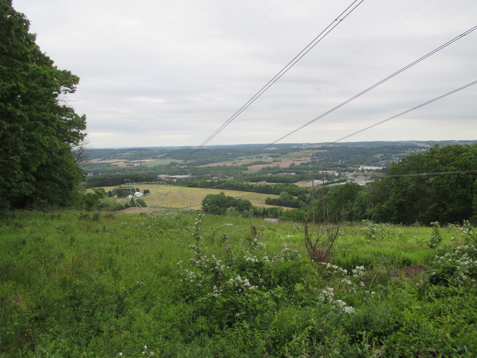 Musings of a Literary Wanderer Rocky Ridge Park