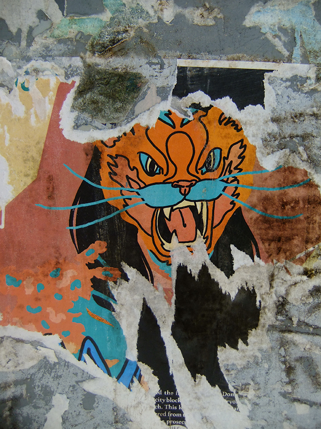 Something About Japan Let S Go To See Sumo