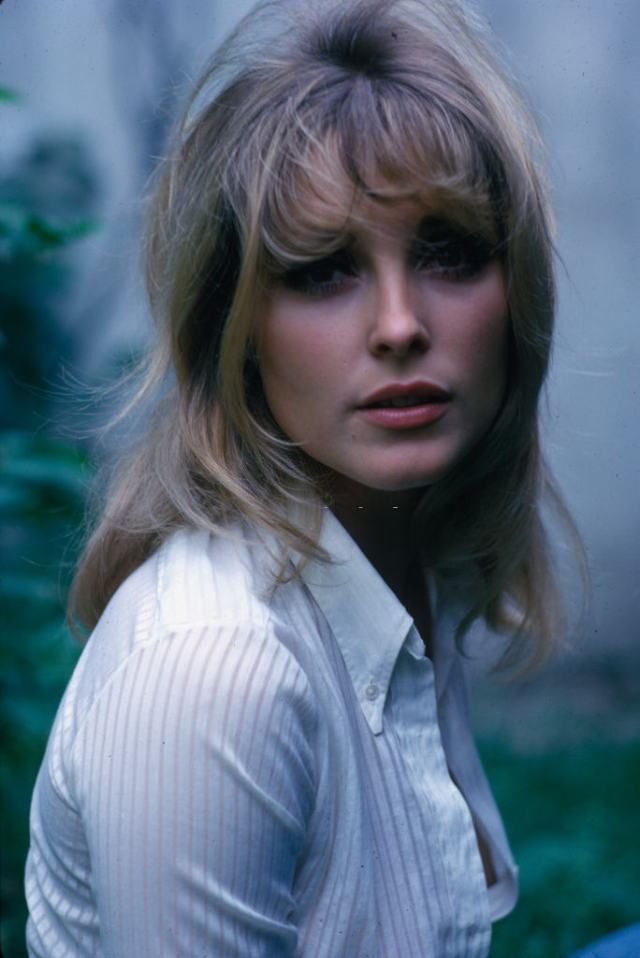beautiful pics sharon tate taken by jerry schatzberg in beautiful pics sharon tate taken by jerry schatzberg in