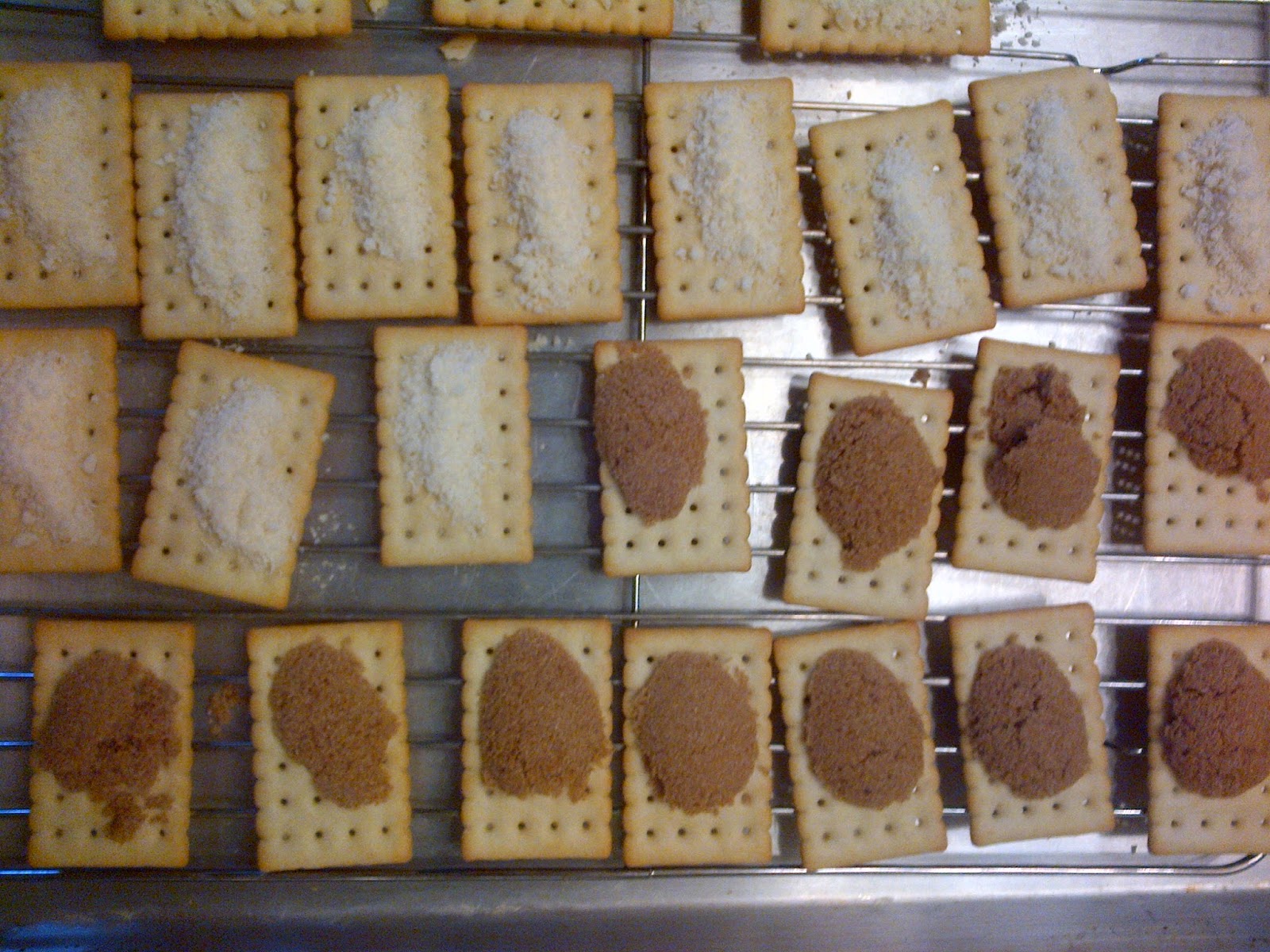 Little Wren Kitchen Retro BaconCracker Appetizers from the Pioneer Woman