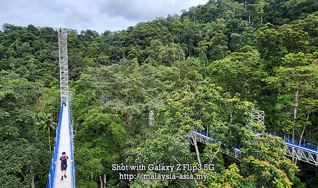 Kepong FRIM Skywalk