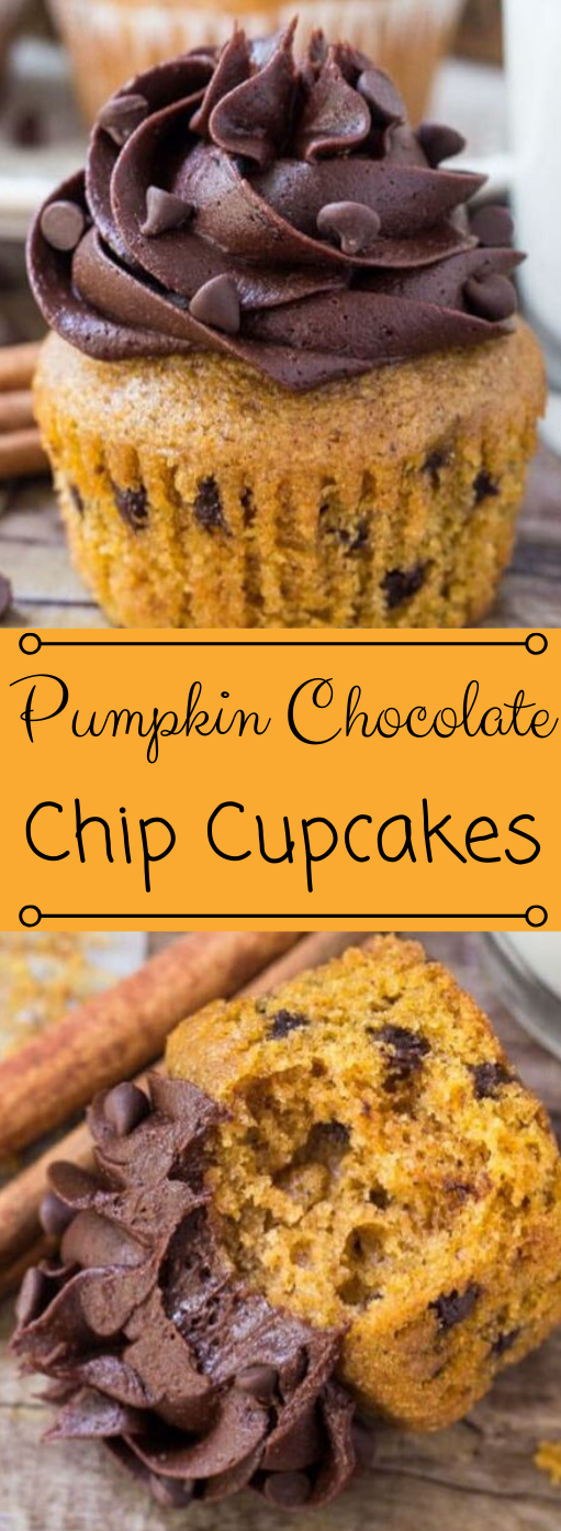 Pumpkin Chocolate Chip Cupcakes #desserts #cakes #easy #recipe #cupcakes Pumpkin Chocolate Chip Cupcakes #desserts #cakes #easy #recipe #cupcakes