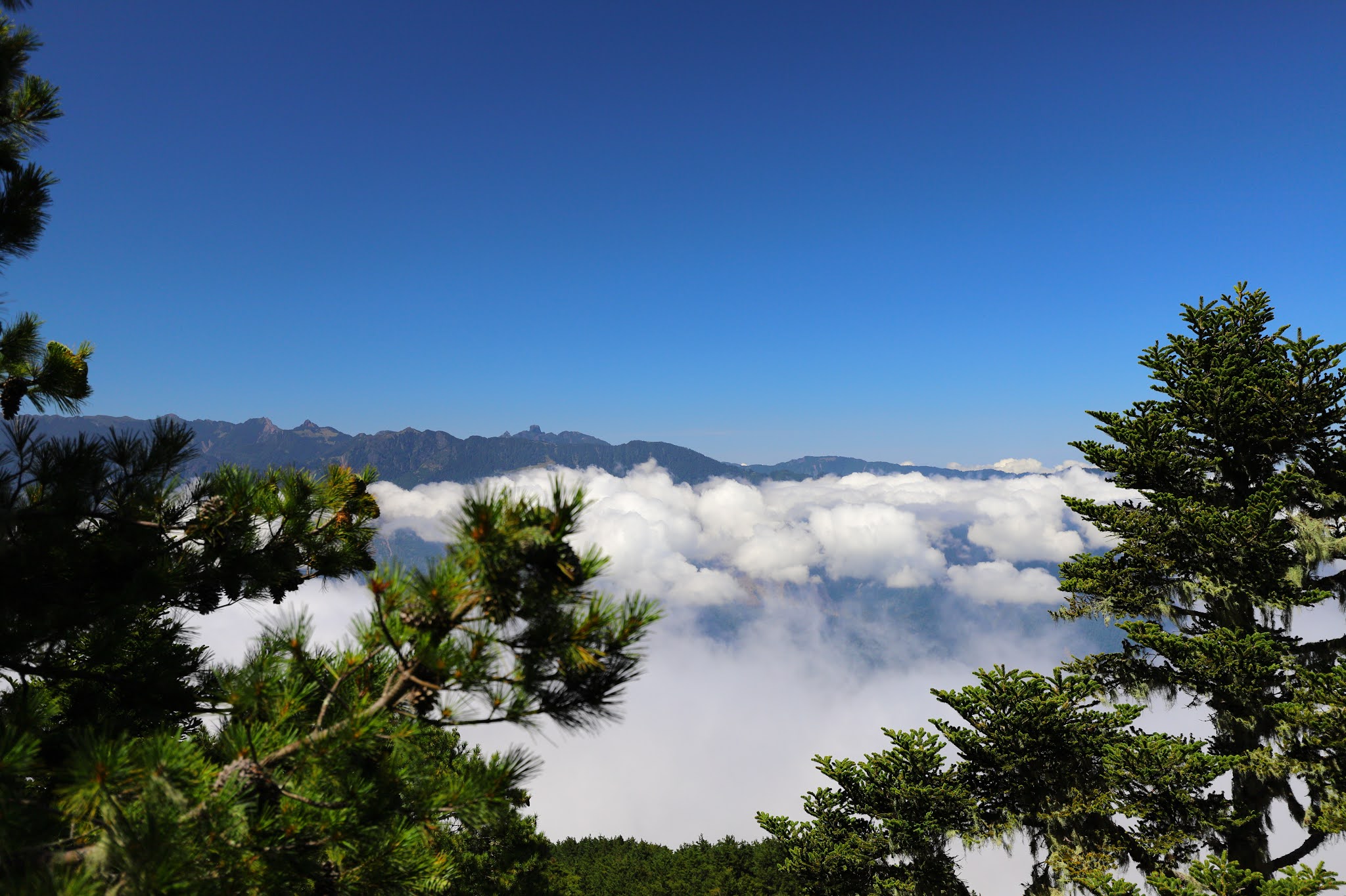 魔葉名病山望向雪山山脈的大霸群峰以及武陵四秀