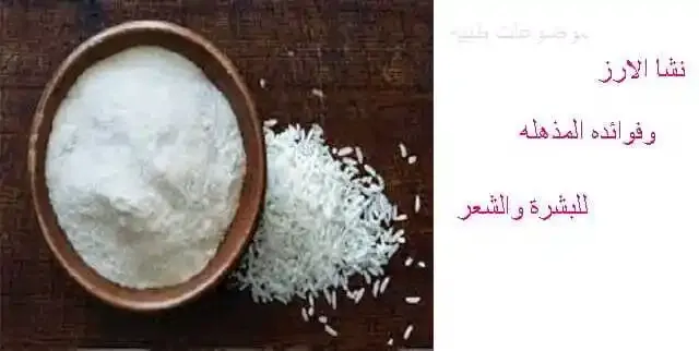 نشا - النشا - نشا القمح - نشا الذره - نشا الارز - نشا البطاطس-starch