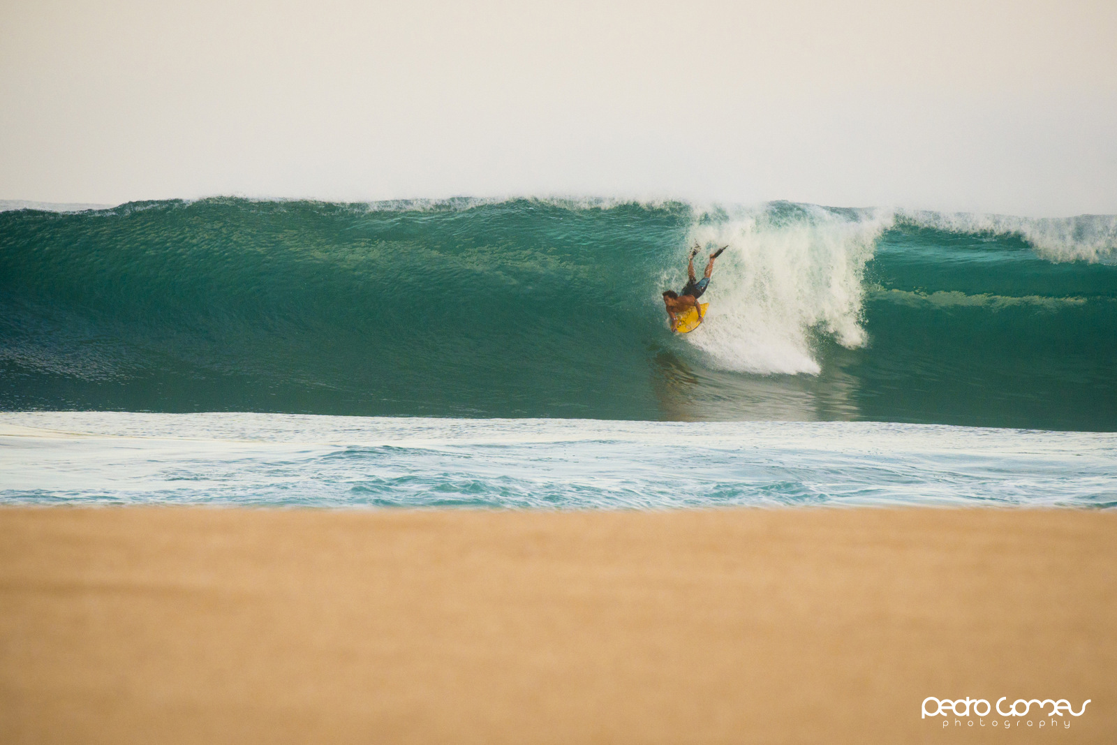 Best Wave Report North Shore The Surf Check