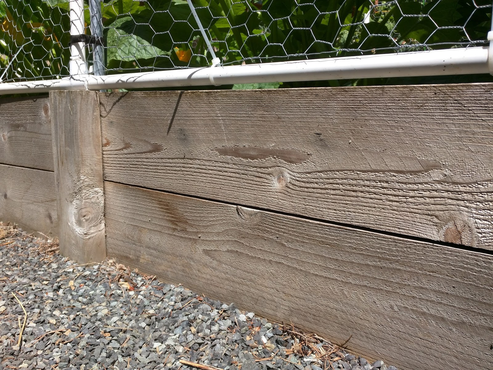 Fence Picket Raised Beds and How They Have Held Up
