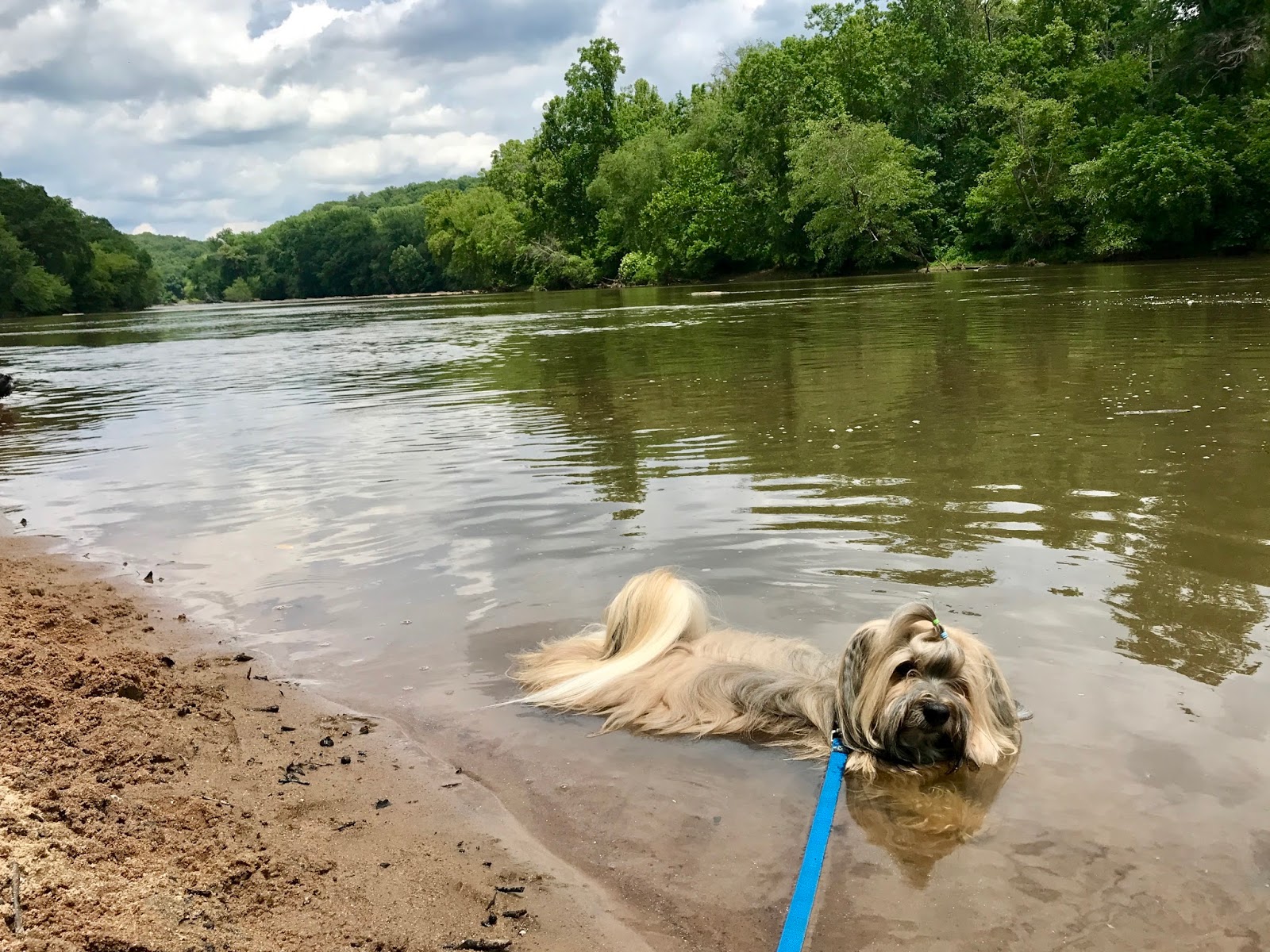 Panavia Tornado Die Cast Airplane And Collectable Panavia Tornado