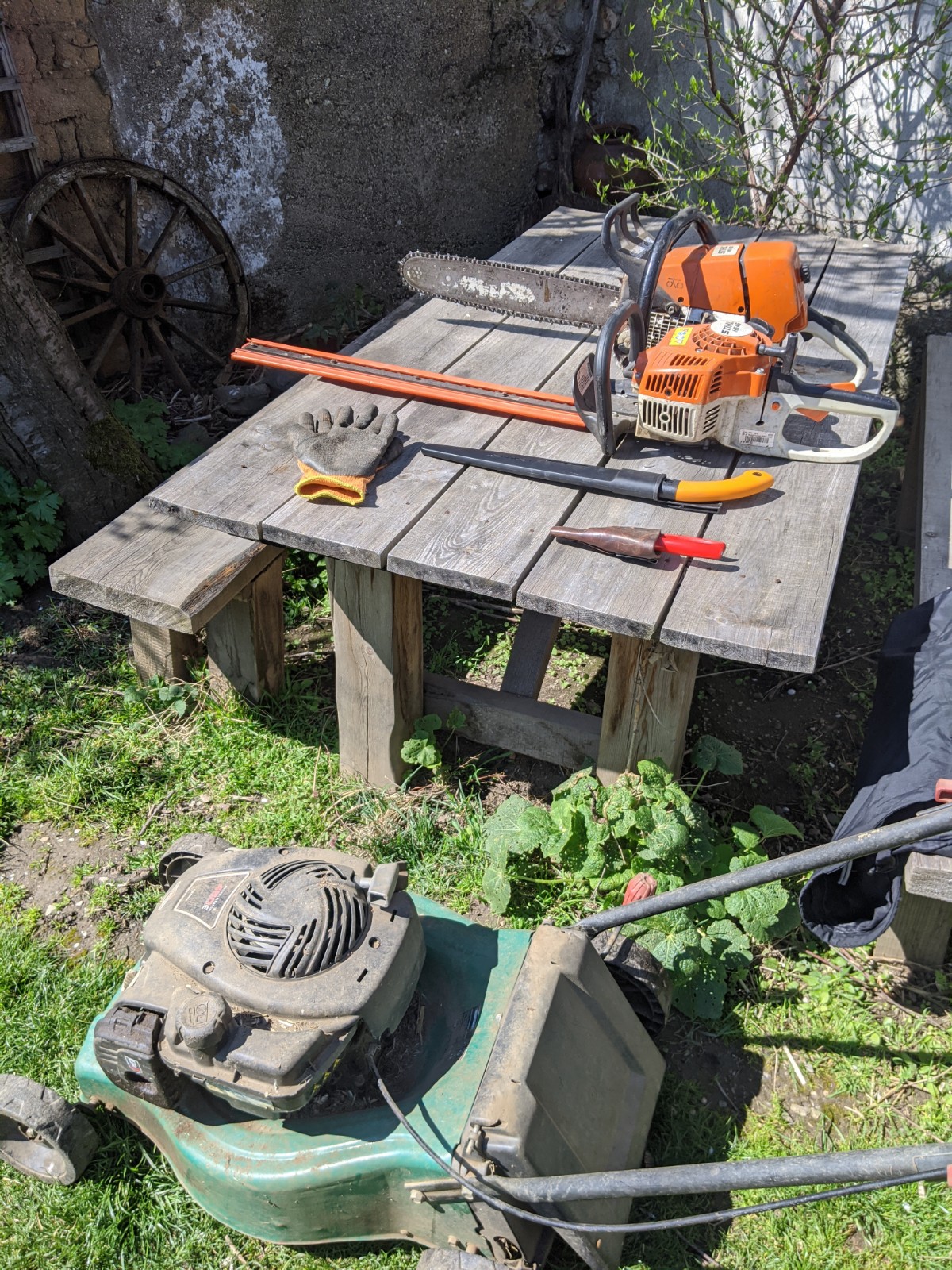 Balkan Ecology Project Spring Pruning, Garlic Mustard Ground Cover