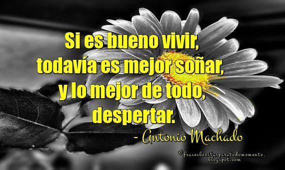 Si es bueno vivir, todavía es mejor soñar, y lo mejor de todo, despertar. - Antonio Machado