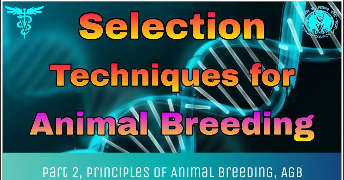 Selection Techniques for Animal Breeding.