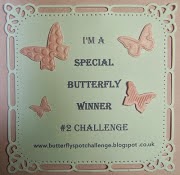 Butterfly Challenge Special Prize