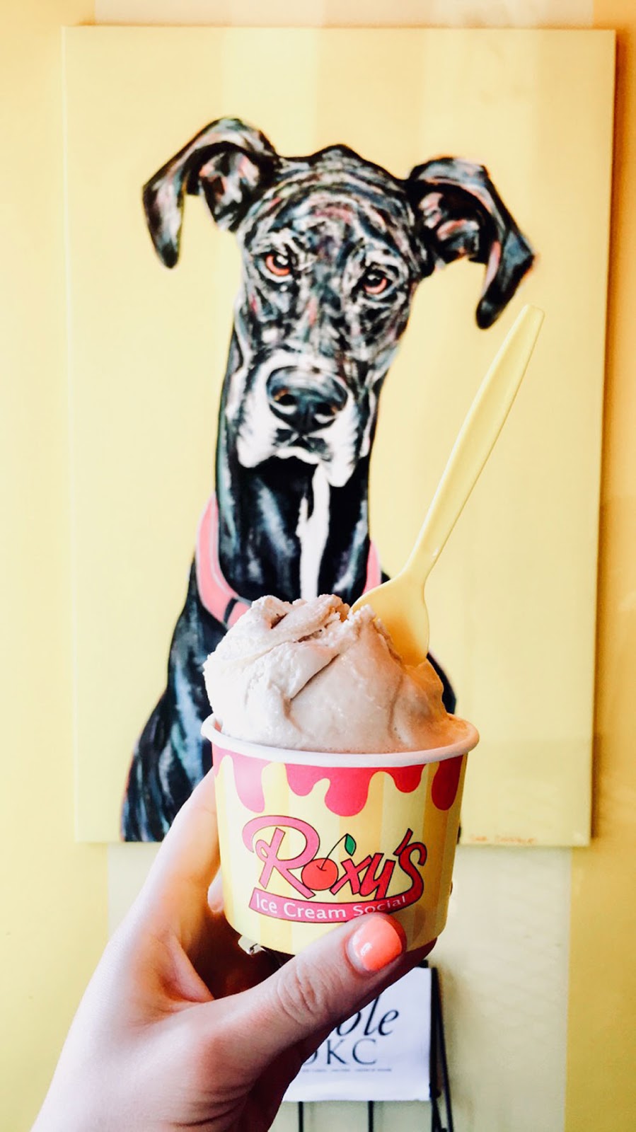 Roxy's Ice Cream is the best ice cream in Oklahoma! 