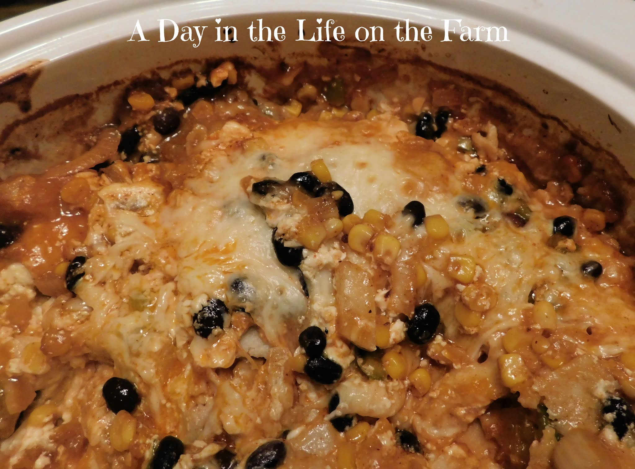 butternut squash and black bean recipes butternut squash and black bean recipes