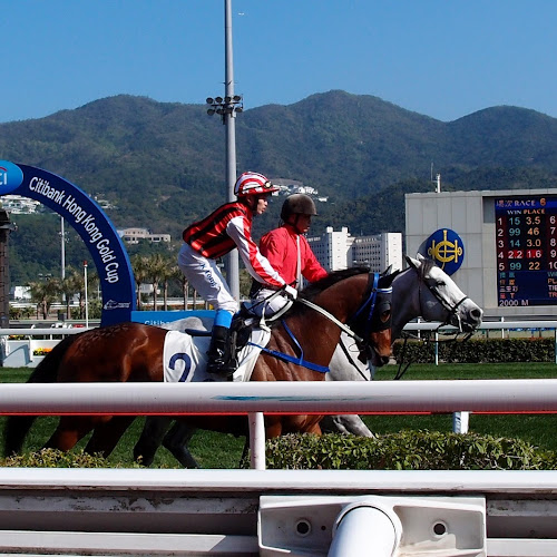 香港賽馬 買張馬票 看馬兒熱血衝刺 含馬場交通 比賽時間 如何下注 賽馬實況 跟著不羈去旅行