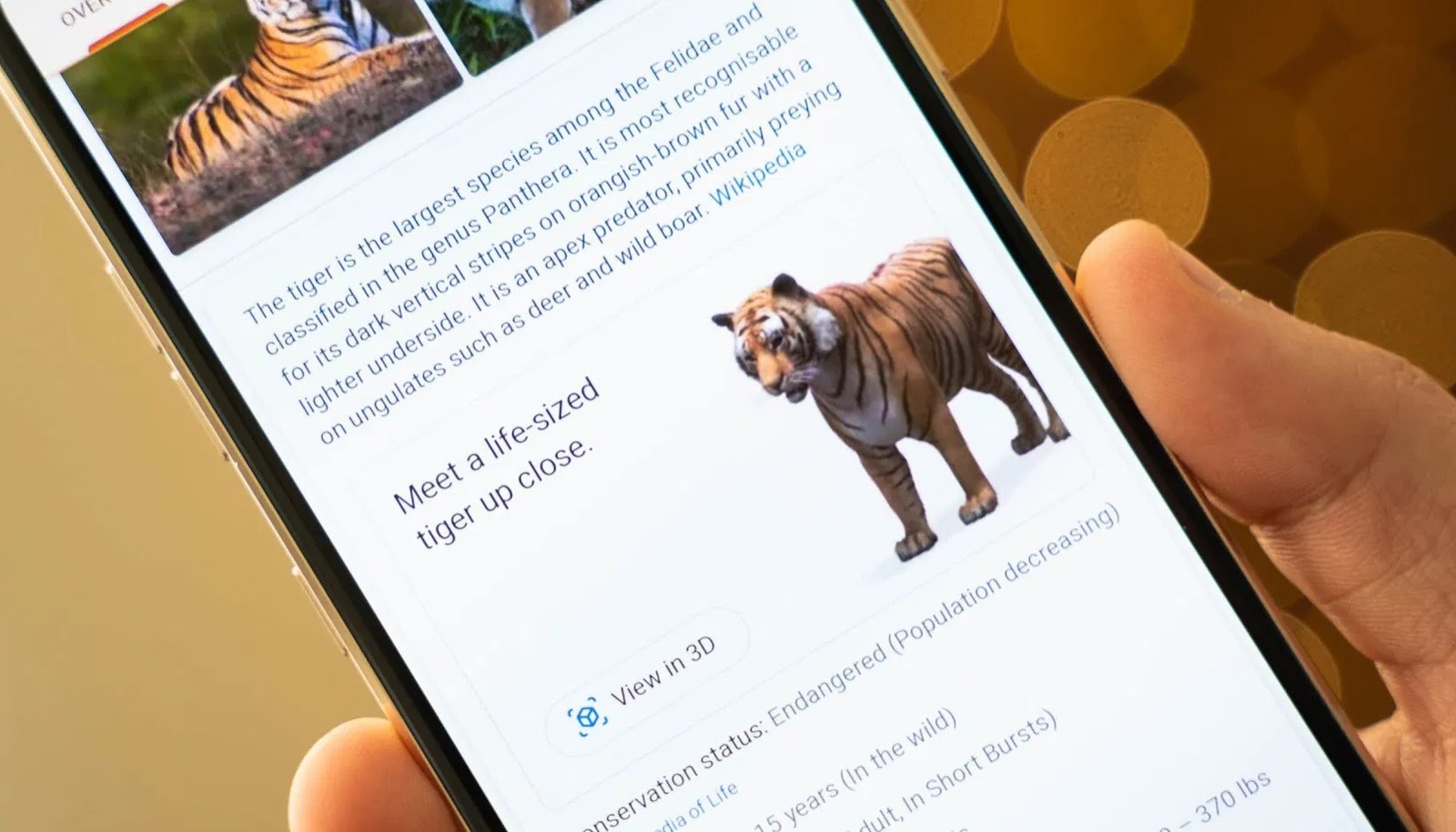 Busca do Google tem novos animais em 3D realidade aumentada