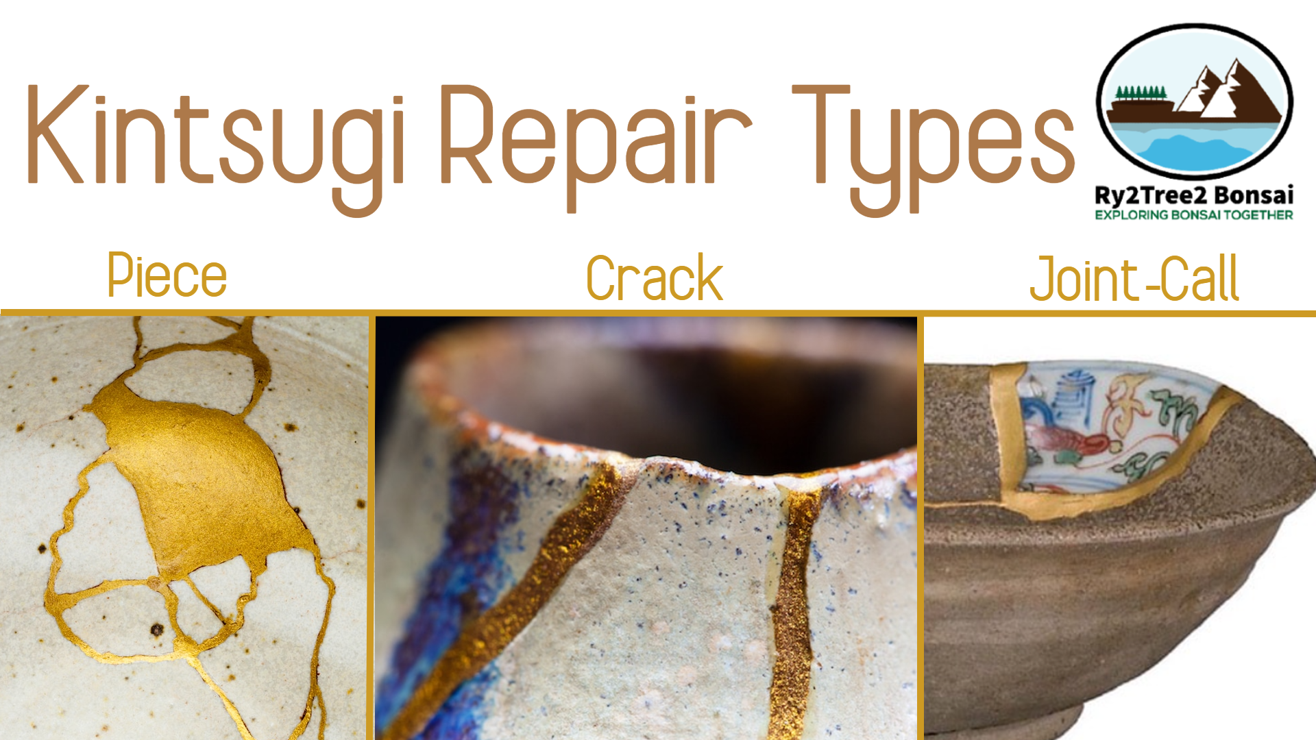 Ry2Tree2 Bonsai Blog Broken Bonsai Pot? No Problem! Modern Methods for
