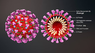 New type of  variant Corona viruse found in England