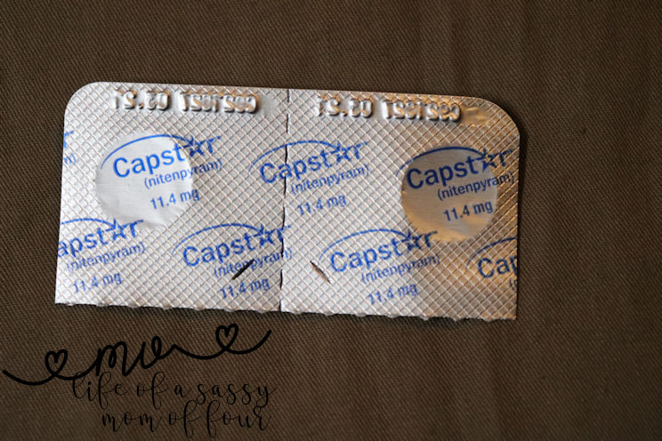 flea capster pill flea capster pill