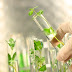 Walk-In-Interview- 9th December, 2017 | SRF -Agriculture / Life Sciences