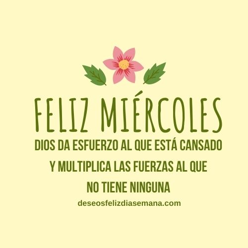 Feliz Miércoles con Buenos Deseos | Imágenes y Deseos Feliz Día de Semana