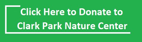 Support the Nature Play Area