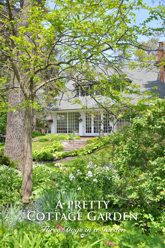 Seattle Garden Ideas Changing My Mind About Spirea