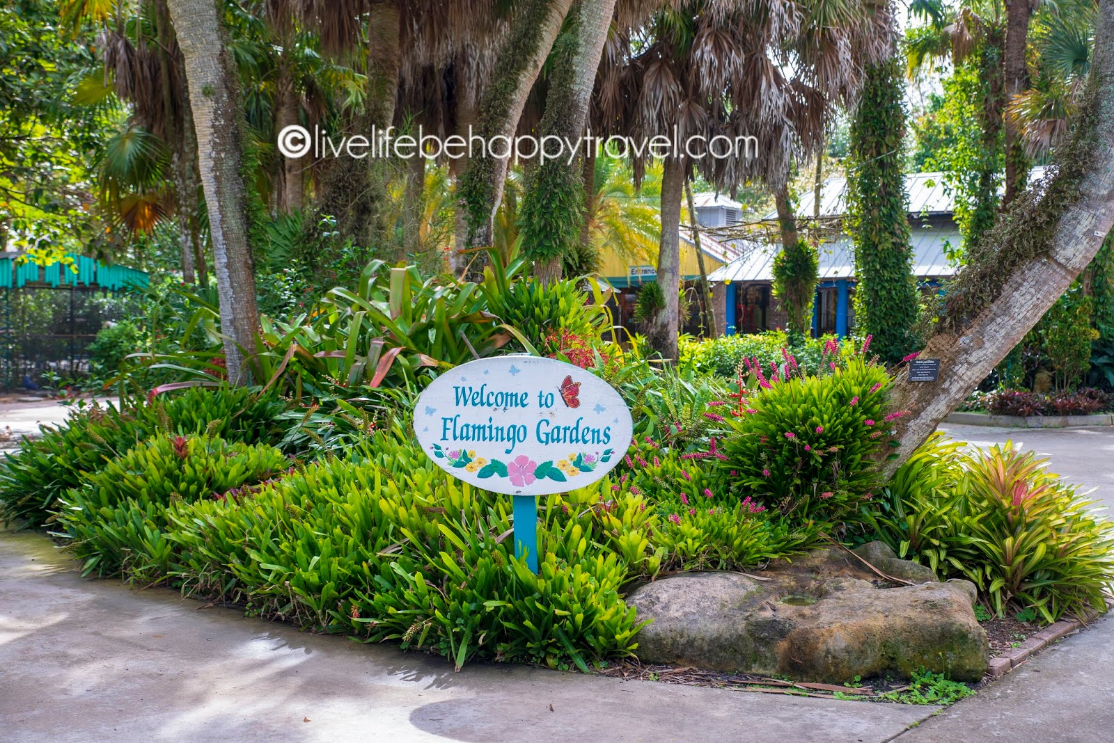 Fiberglass Metal Resin Flamingo And Rock Water Fountain Water Fountain Flamingo Garden Flamingo