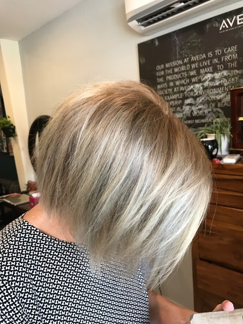 Estilo Aveda Salon Penang Hair Salon In Penang