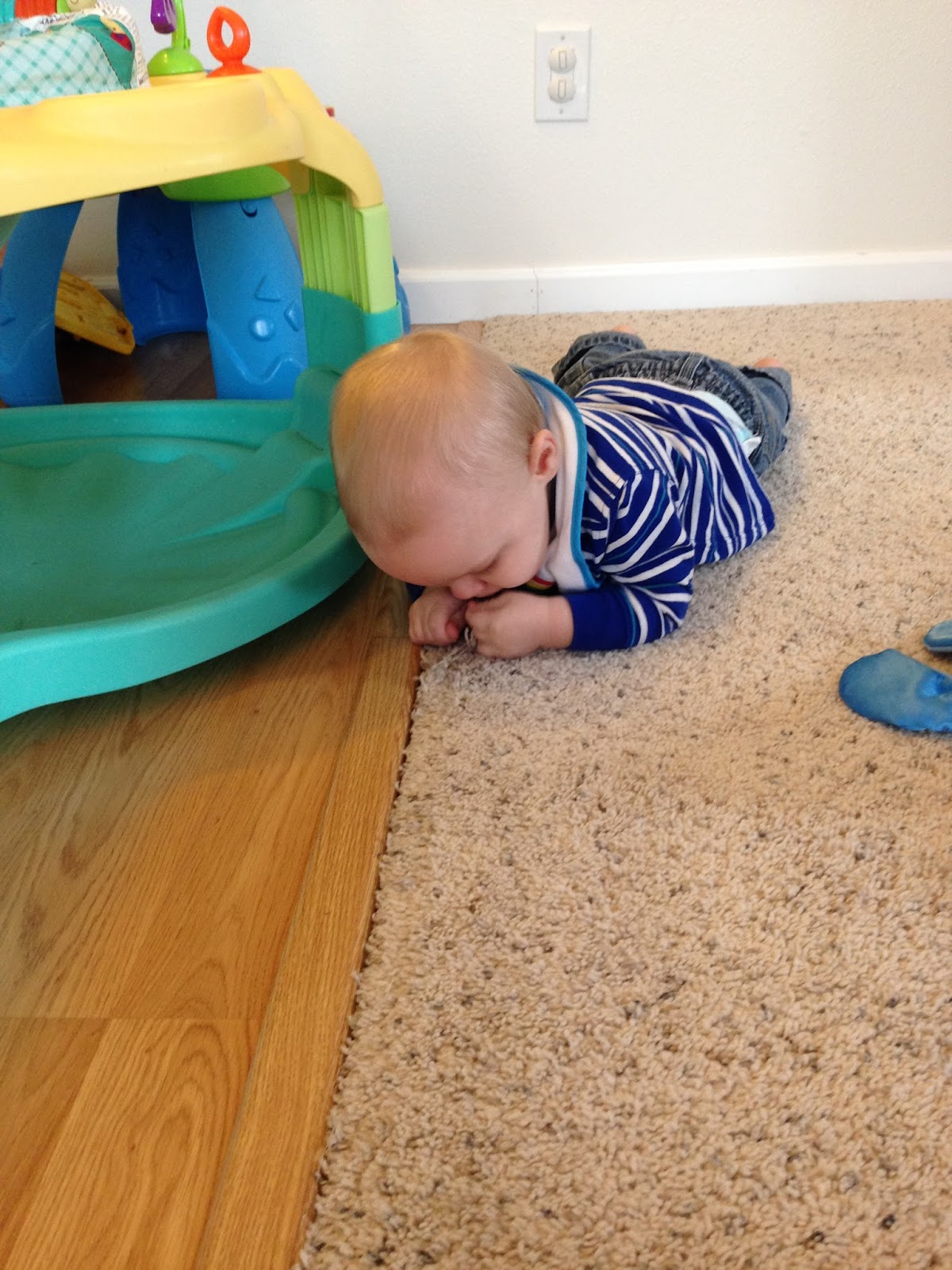 Old Lady and No Baby Microblog Monday Diaper Eating