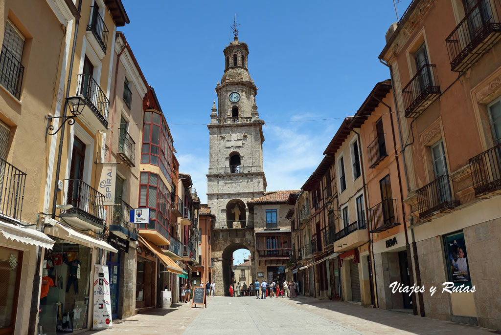 Puerta del Mercado-Torre del Reloj deToro