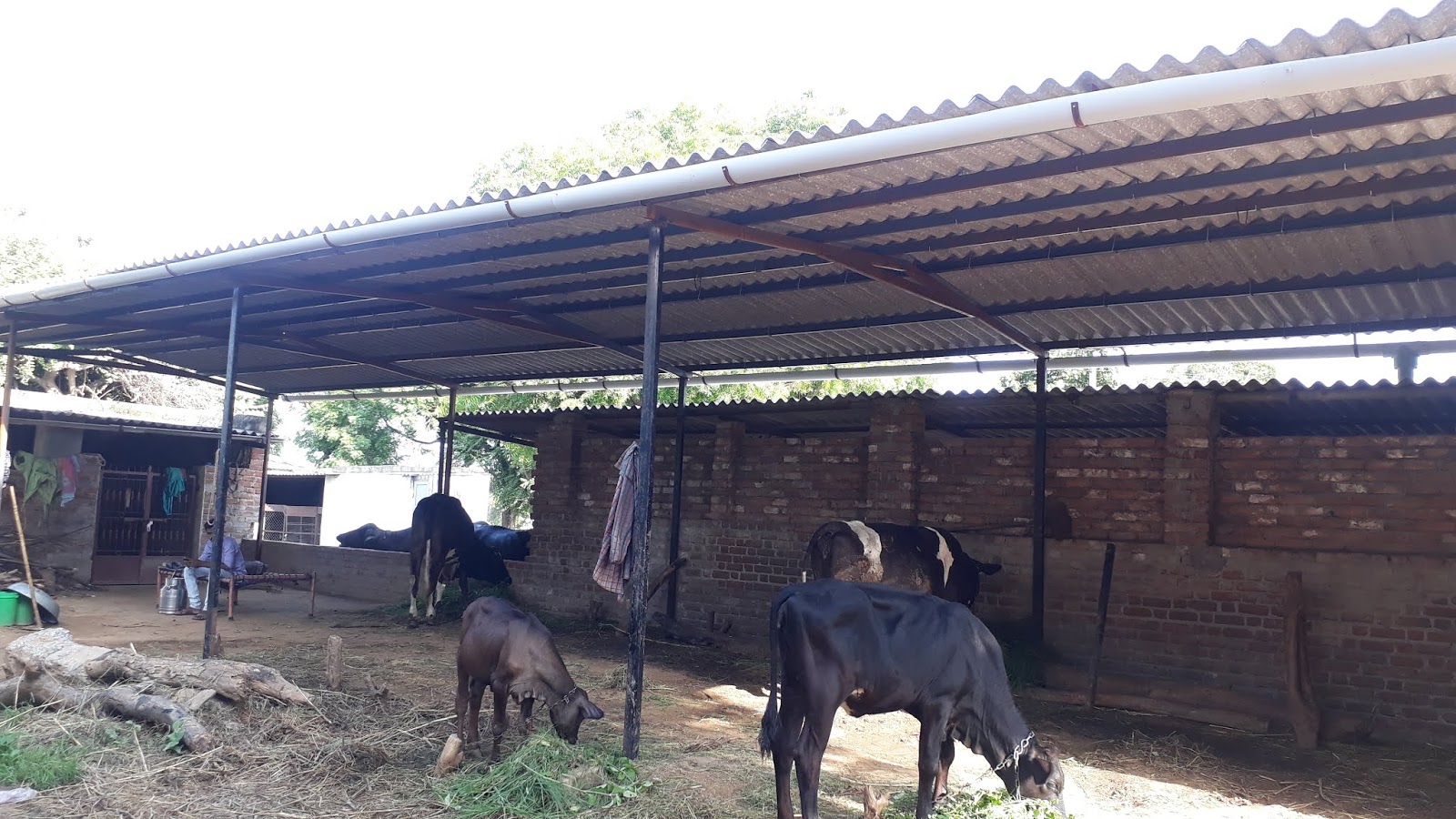 Cattle shed meaning in urdu picture