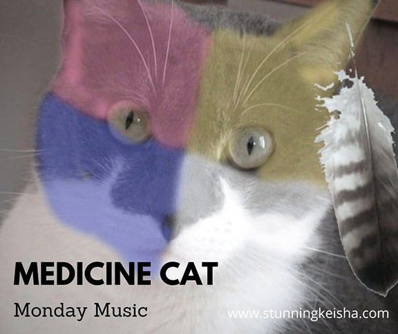 Medicine Cat