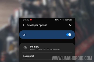 Setting Opsi Pengembang Samsung