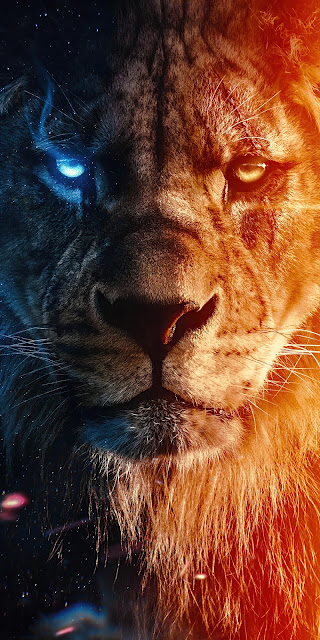 Lion of Judas Jesus Iphone wallpaper