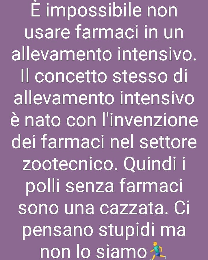 Impossibile non usare farmaci e antibiotici negli allevamenti