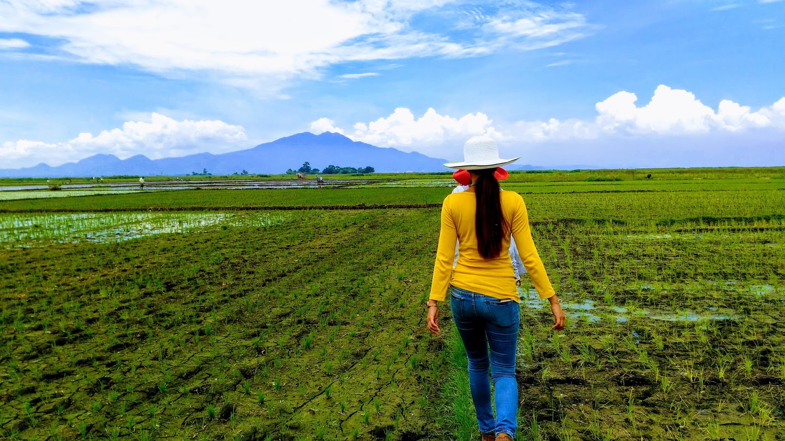Philippine Legends The Legend of Rice (Ang Alamat ng Palay)