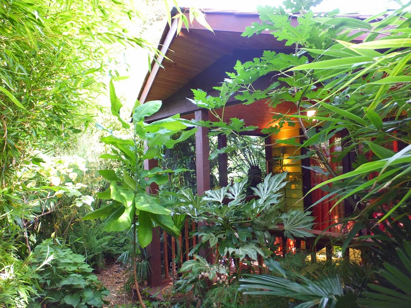 Jungle Hut at Alternative Eden
