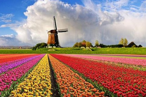 Netherlands.jpg Netherlands.jpg