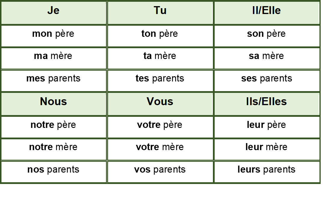 Japprends Le Français Les Adjectifs Possessifs A1