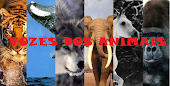 Vozes dos Animais