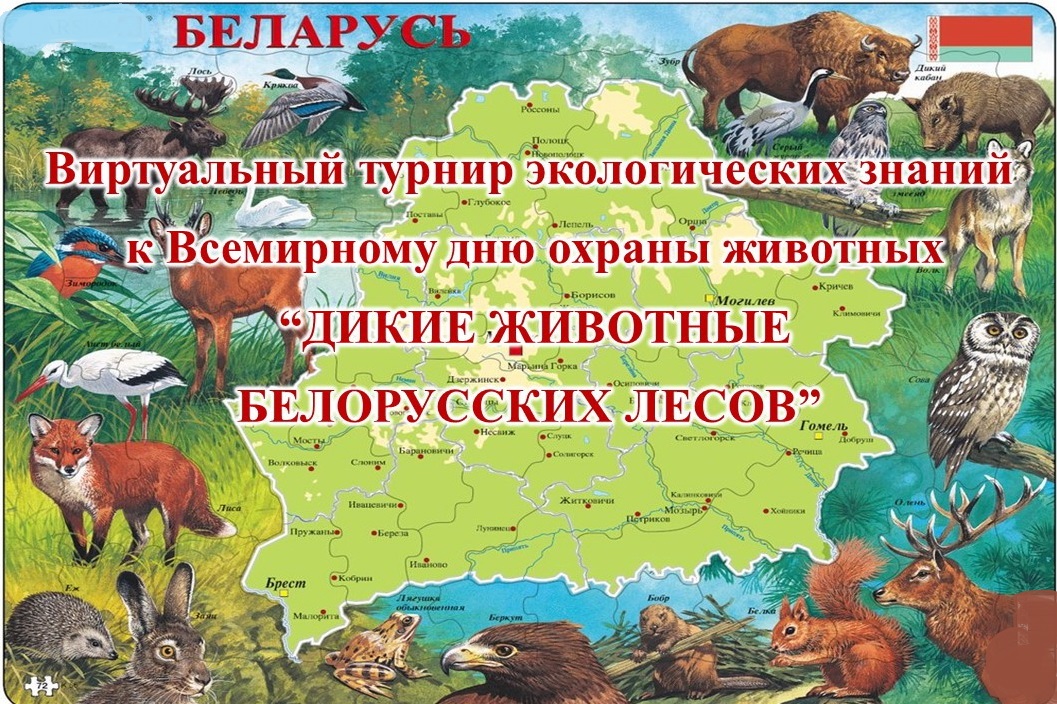 Красная книга республики беларусь животные