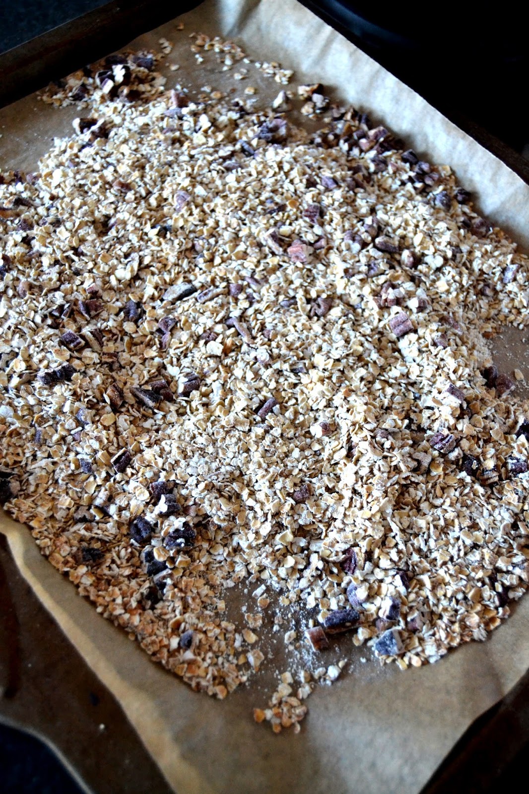 Cakeyboi Blueberry Coconut and Maple Granola Bars