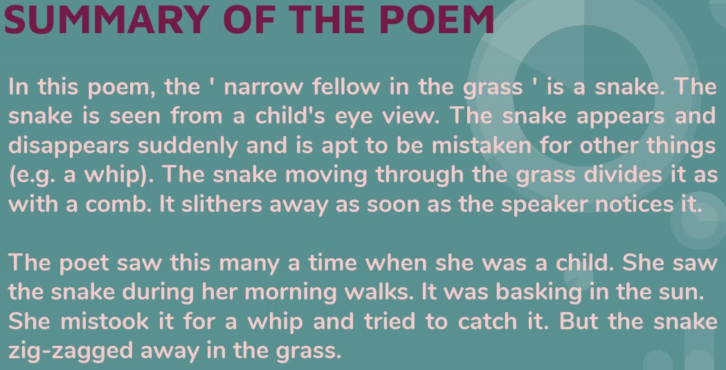 summary of a narrow fellow in the grass