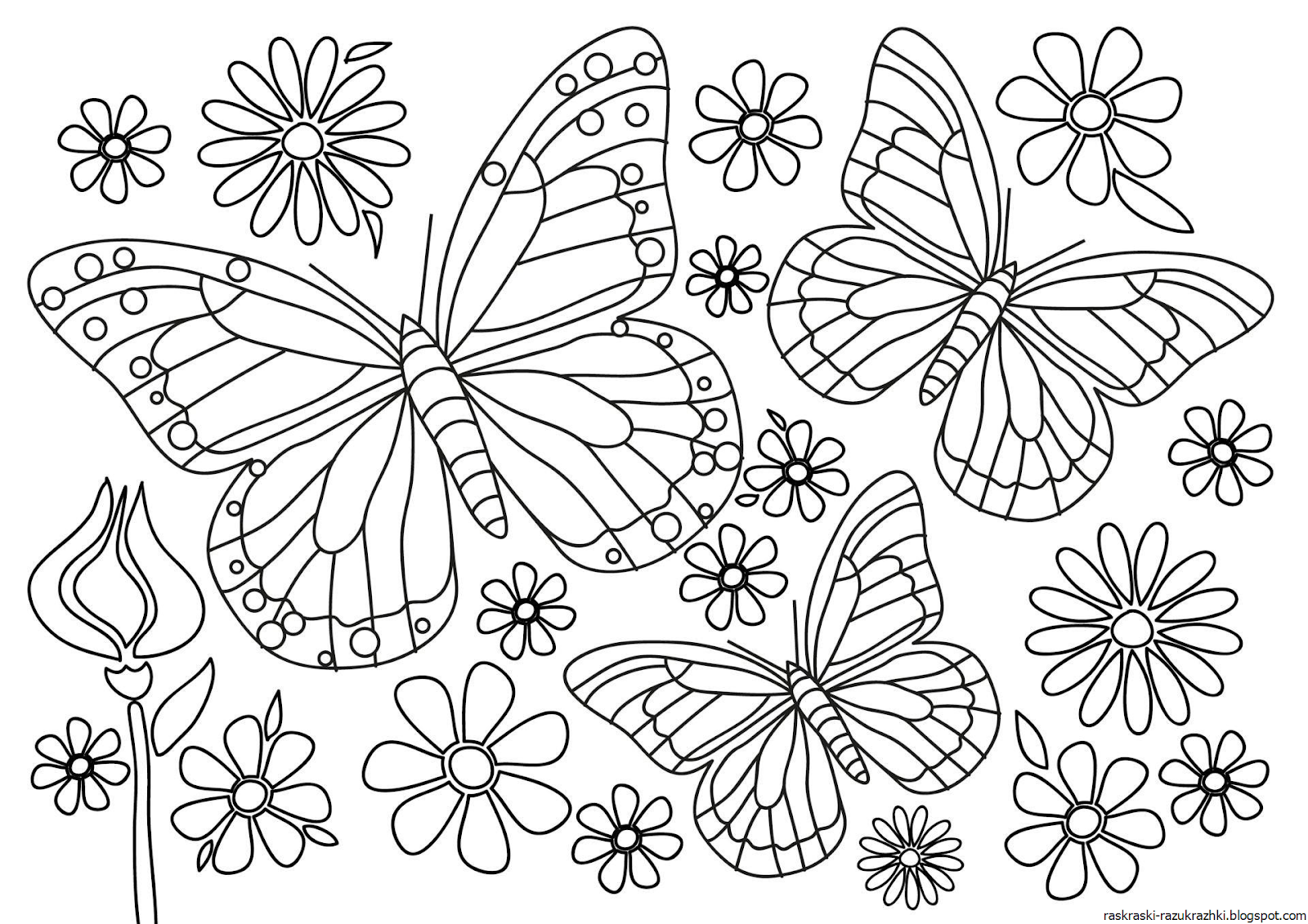 Бабочка на цветочке раскраска