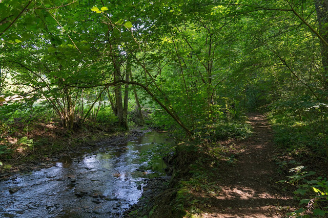 Wäller-Tour Augst | Rundwanderung Westerwaldsteig | Westerwald bei Neuhäusel 10